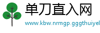 单刀直入网